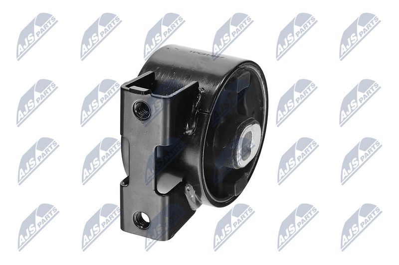 Paigutus, Mootor, NTY ZPS-CH-047