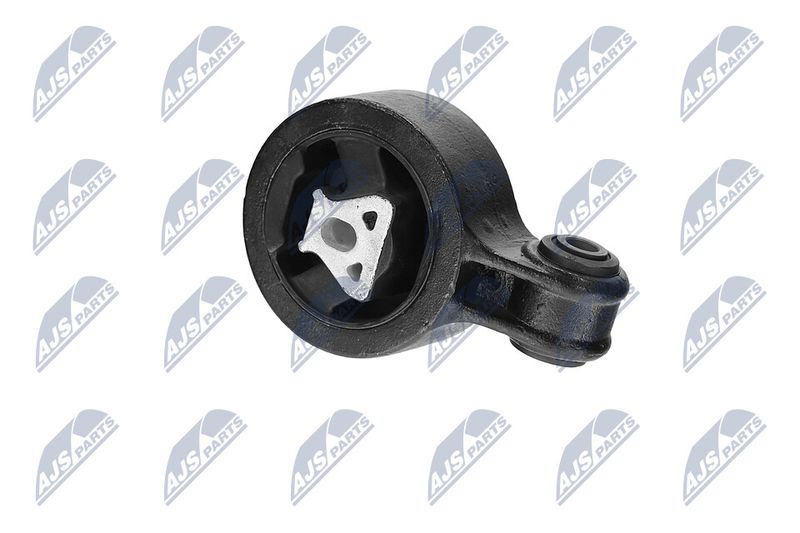 Paigutus, Mootor, NTY ZPS-CH-117