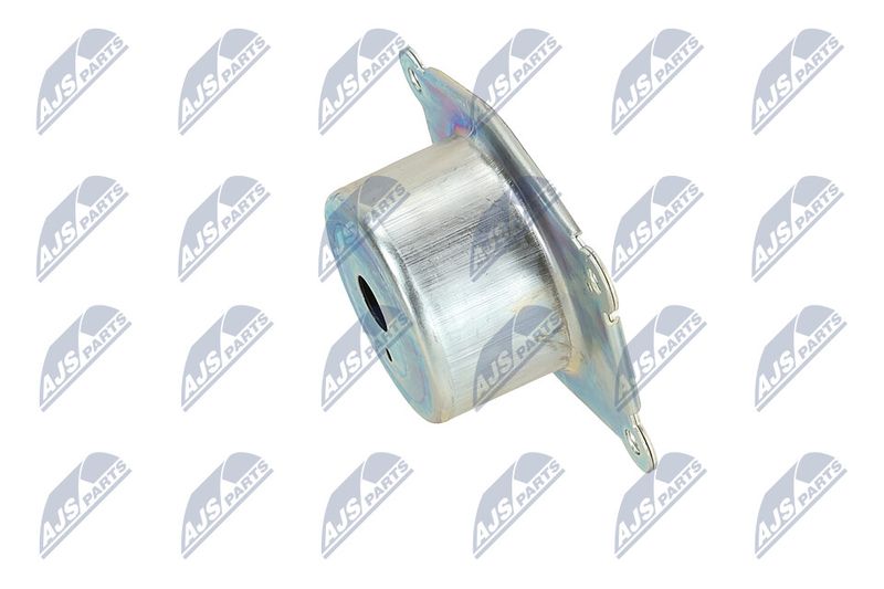 Paigutus, Mootor, NTY ZPS-PL-044