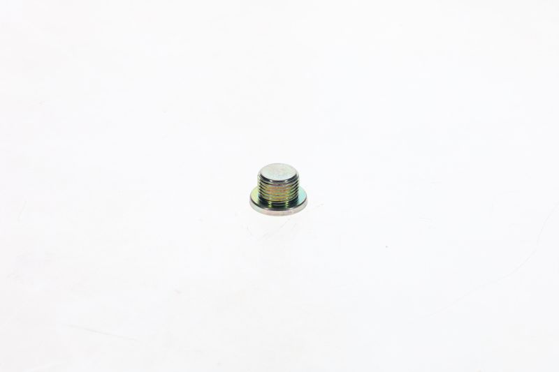 Surub F 002 D13 566 BOSCH