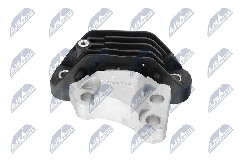 Paigutus, Mootor, NTY ZPS-CH-165