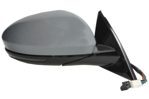 BLIC 5402-09-1243317P Exterior Mirror