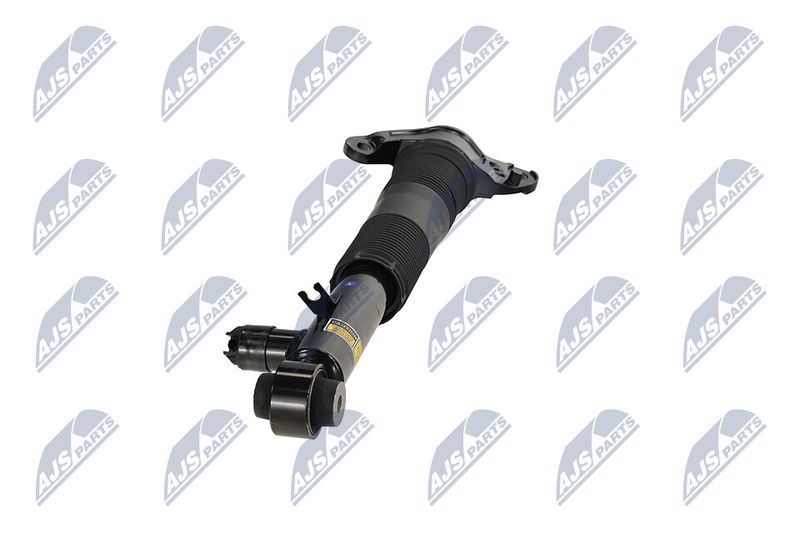 Amort, NTY A-LR-036