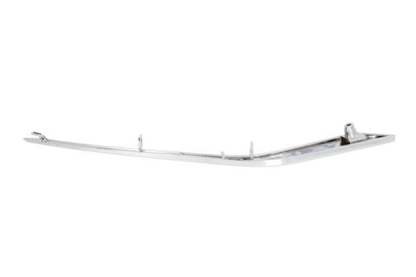 BLIC 6502-07-5509916PP Trim/Protection Strip, bumper