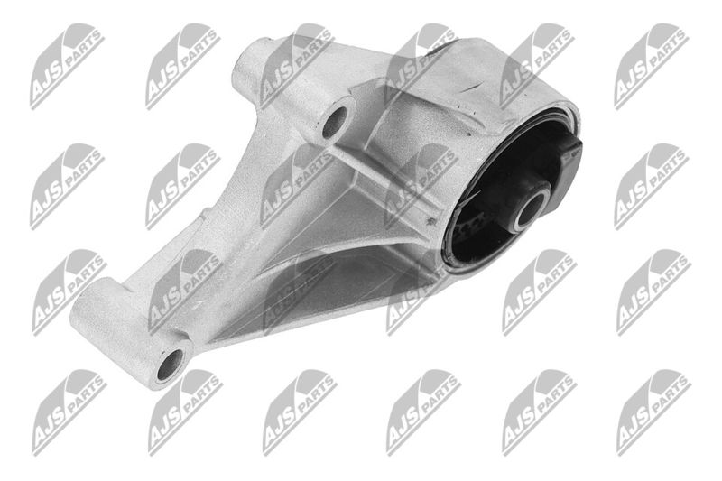 Paigutus, Mootor, NTY ZPS-PL-069