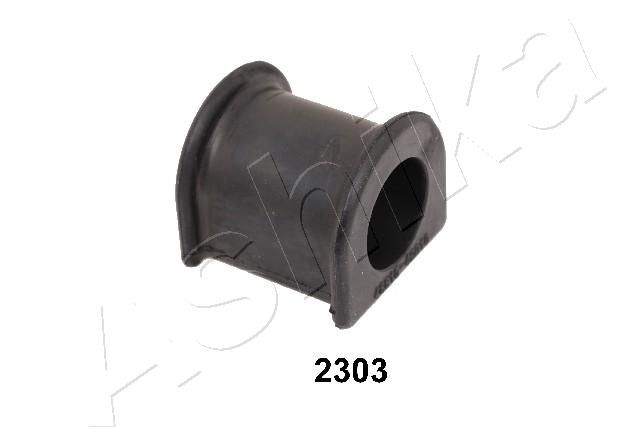 GOM-2303_1.JPG