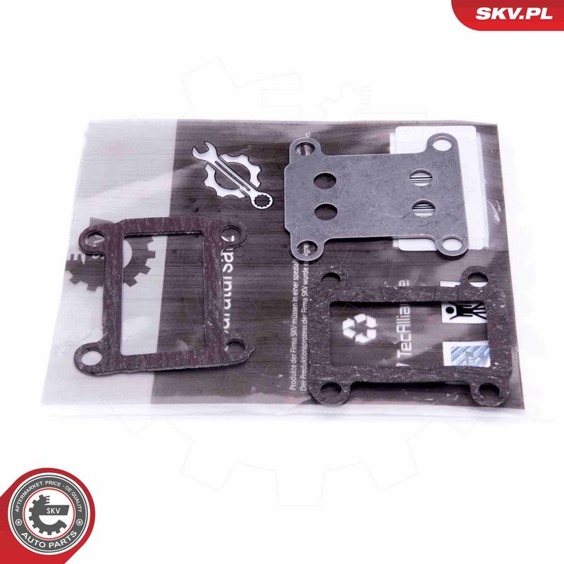 Set de reparație, supapă AGR ESEN SKV 14SKV524