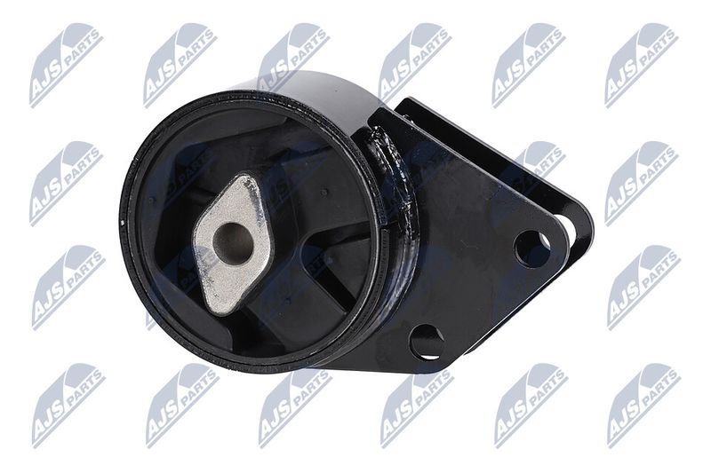 Paigutus, Mootor, NTY ZPS-CH-064