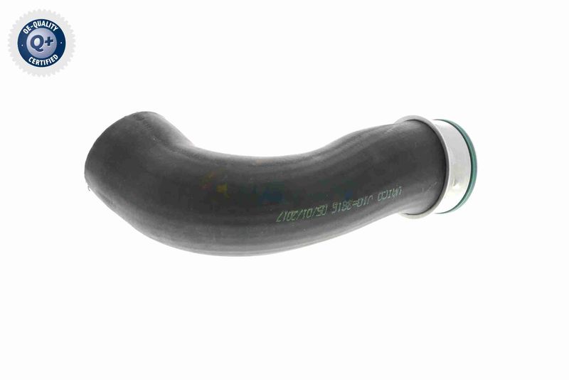 VAICO V10-3816 Charge Air Hose