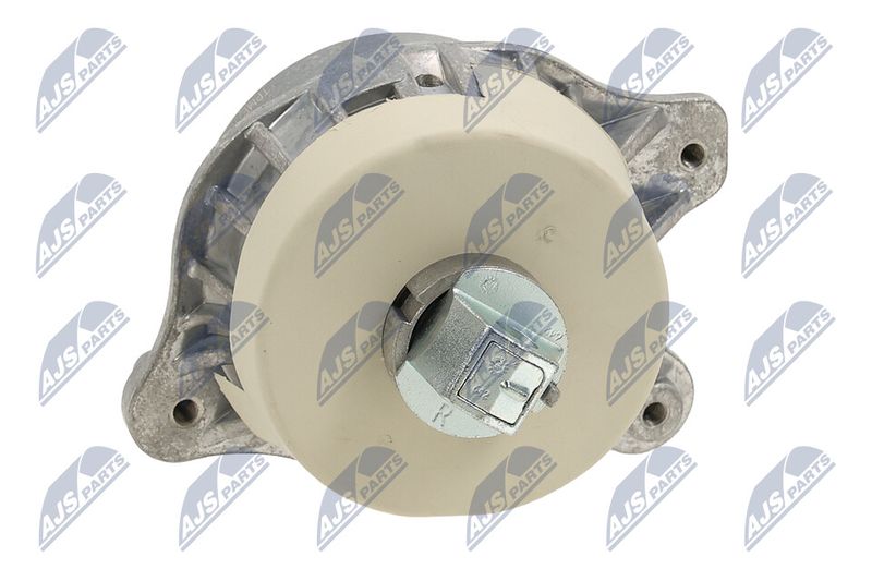 Paigutus, Mootor, NTY ZPS-ME-107