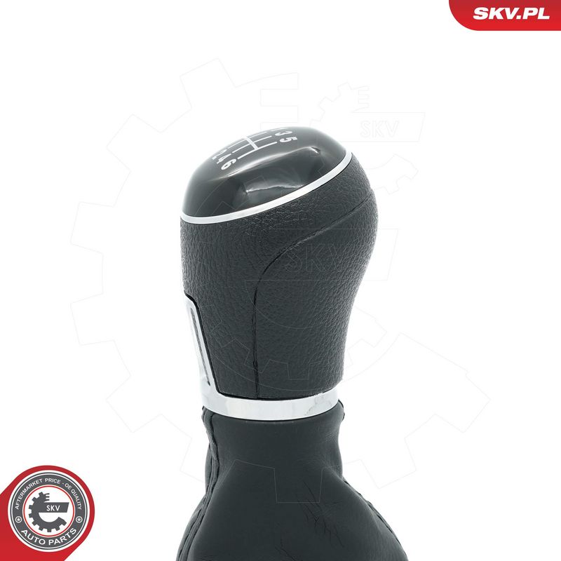 Käigukanginupp, ESEN SKV 63SKV489