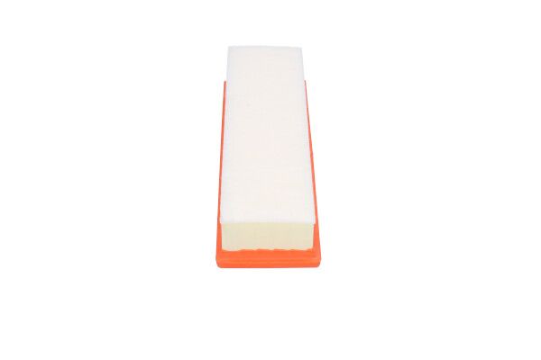 Kavo Parts FAF-10575 Air Filter