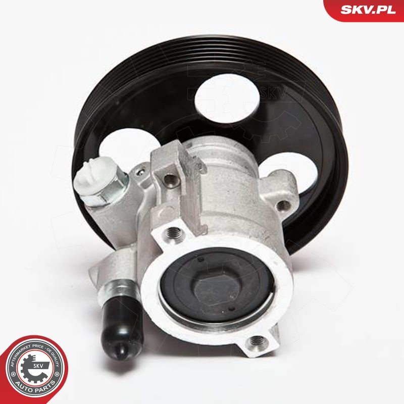 Hüdraulikapump, roolimine, ESEN SKV 10SKV069