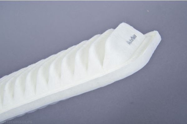 AUTOMEGA 180030910 Air Filter