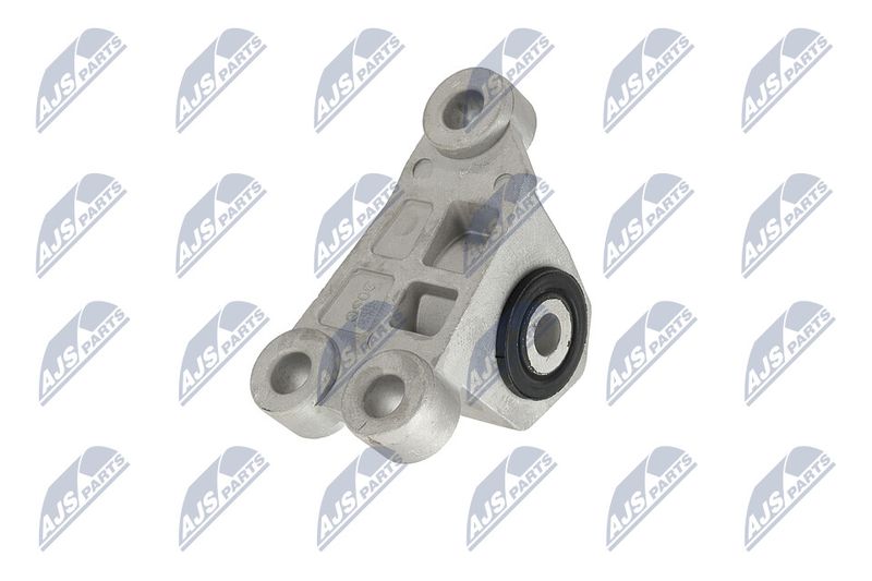 Paigutus, Mootor, NTY ZPS-CH-118