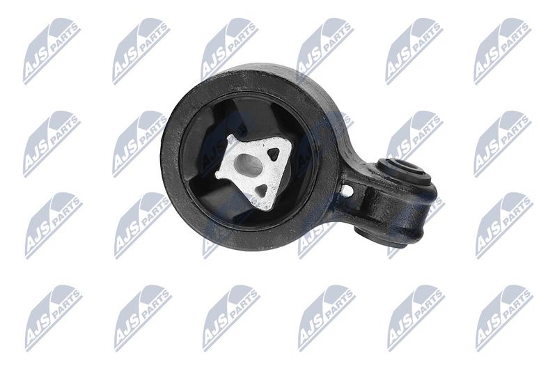 Paigutus, Mootor, NTY ZPS-CH-117