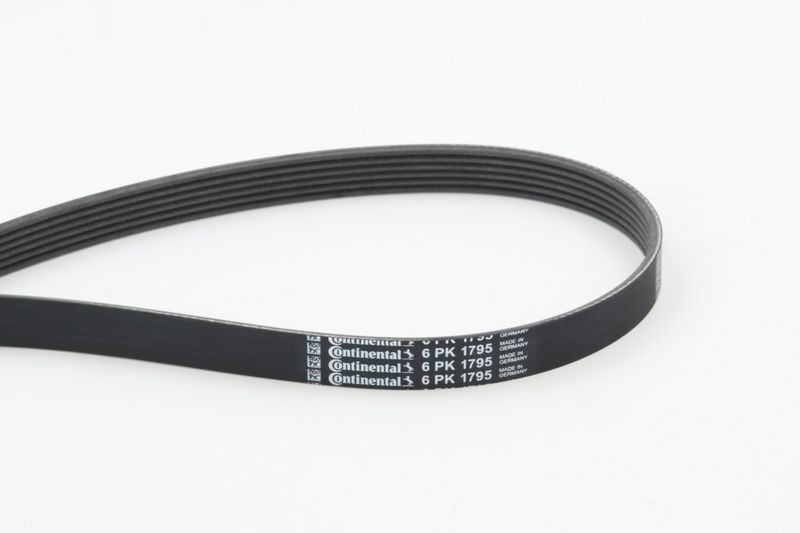 CONTINENTAL CTAM 6PK1795 V-Ribbed Belt