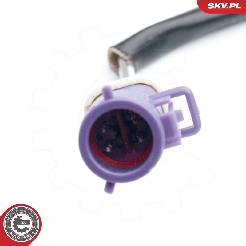 Lambda andur, ESEN SKV 09SKV574