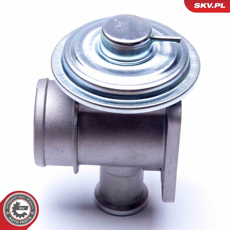 EGR-klapp, ESEN SKV 14SKV179
