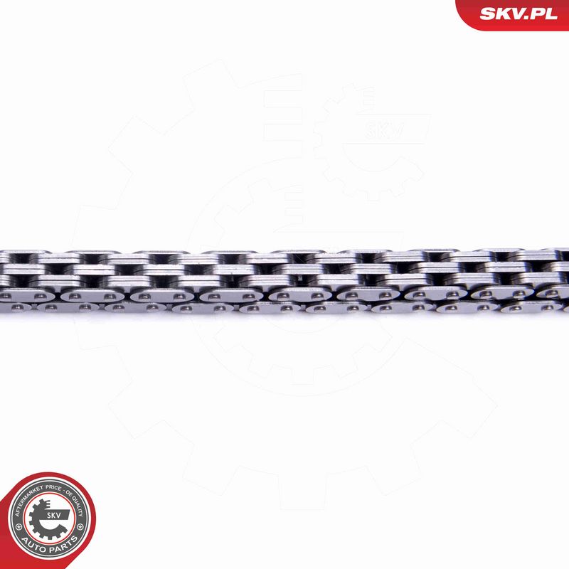 ESEN SKV 21SKV137 Timing Chain Kit