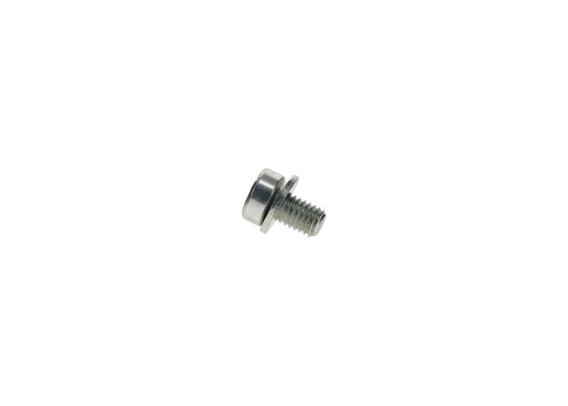 BOSCH F002D13663 Screw