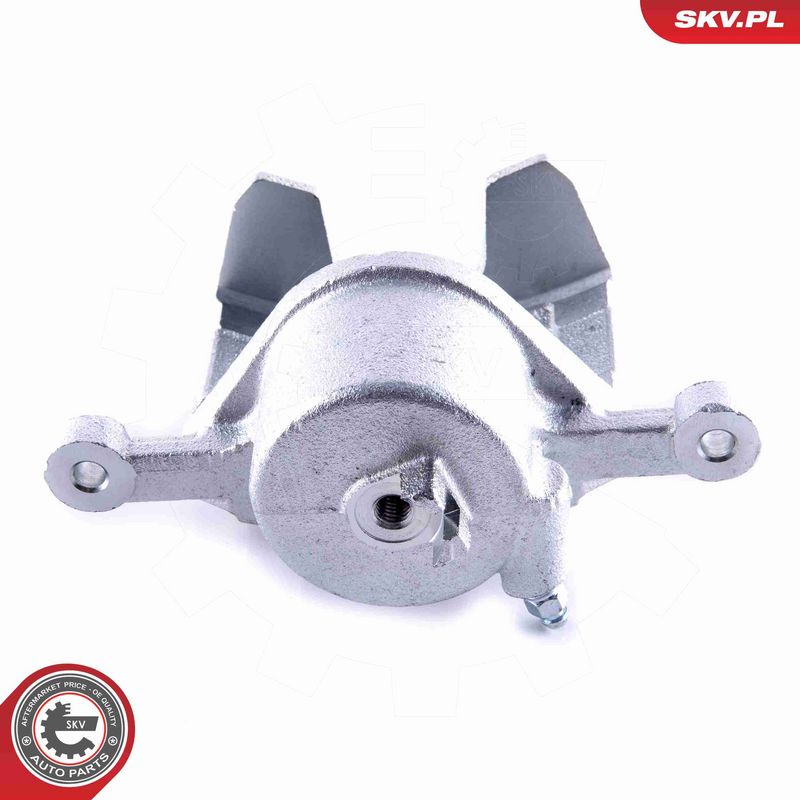ESEN SKV 55SKV101 Brake Caliper
