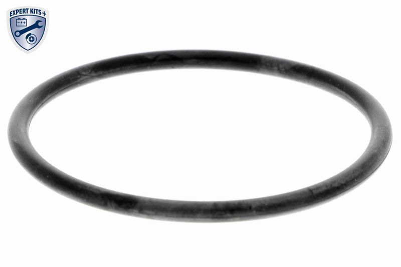ACKOJA A52-0709 Water Pump, engine cooling