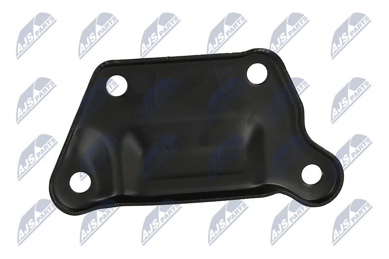 Paigutus, Mootor, NTY ZPS-MS-015