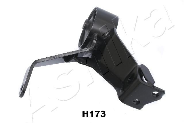 GOM-H173_2.JPG