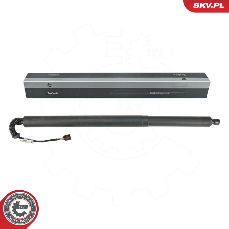 Elektrimootor, tagaluuk, ESEN SKV 52SKV887
