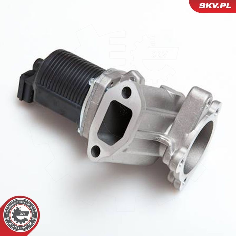 EGR-klapp, ESEN SKV 14SKV014