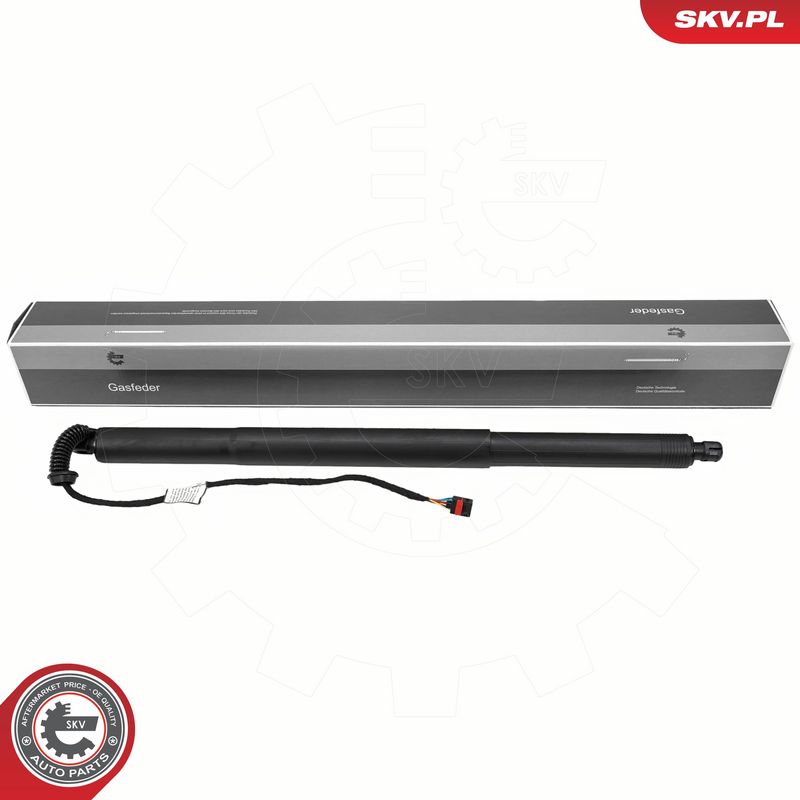 Elektrimootor, tagaluuk, ESEN SKV 52SKV221