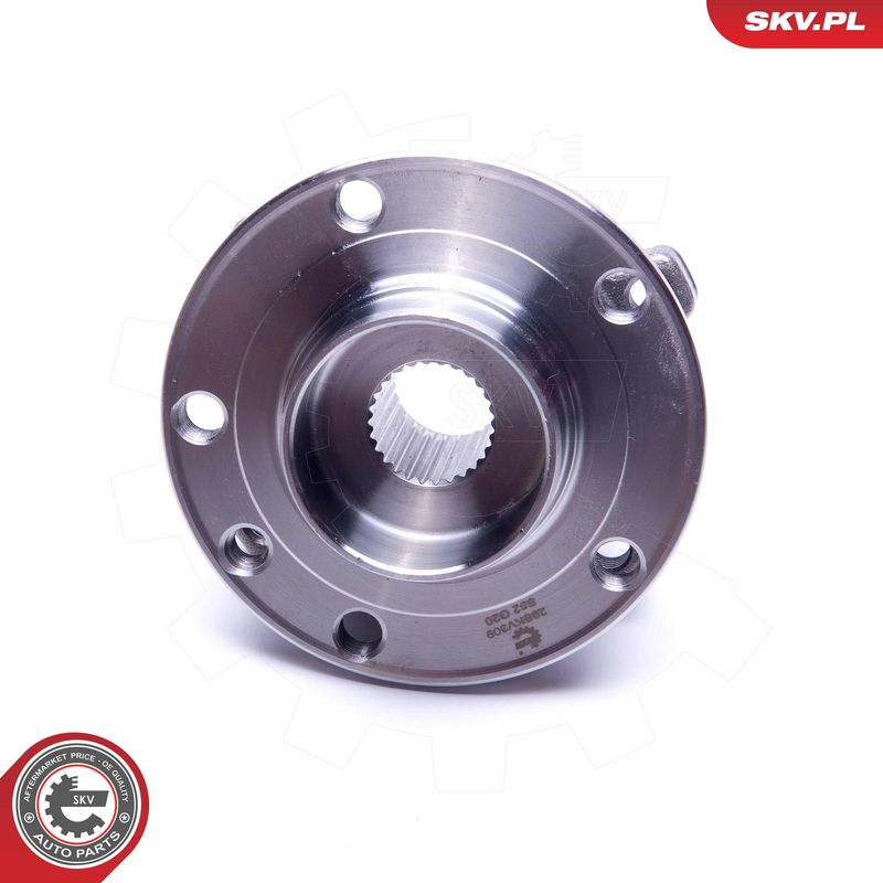 Rattalaagrikomplekt, ESEN SKV 29SKV309