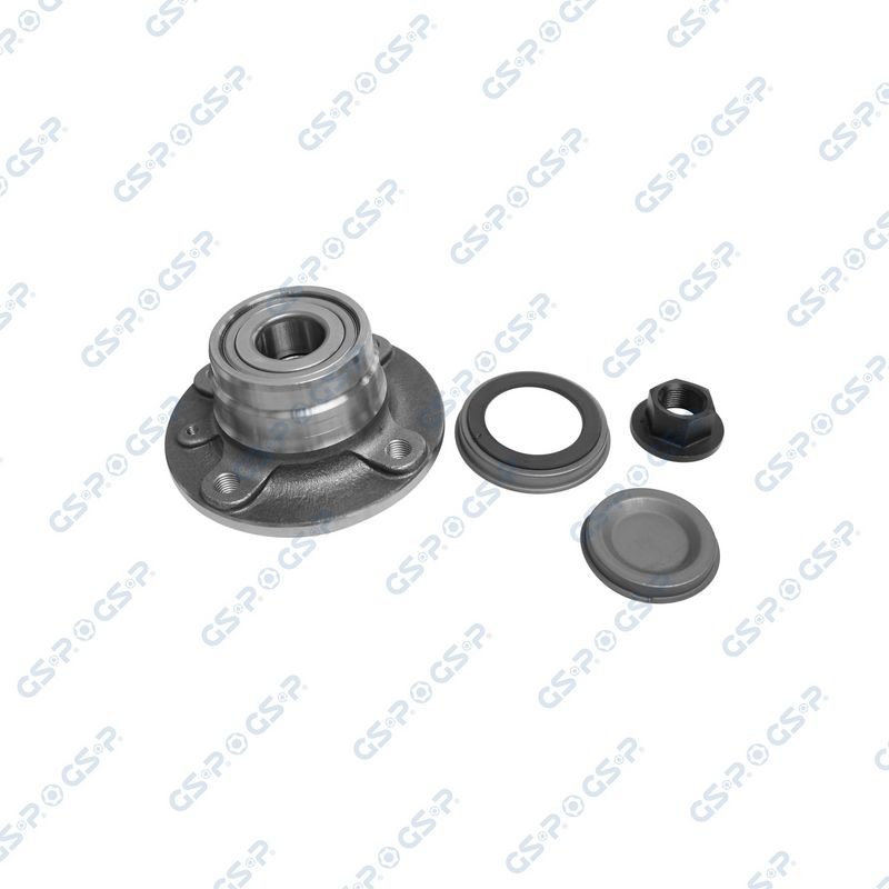 SET RULMENT ROATA GSP 9227023K