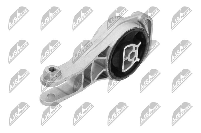 Paigutus, Mootor, NTY ZPS-PL-080