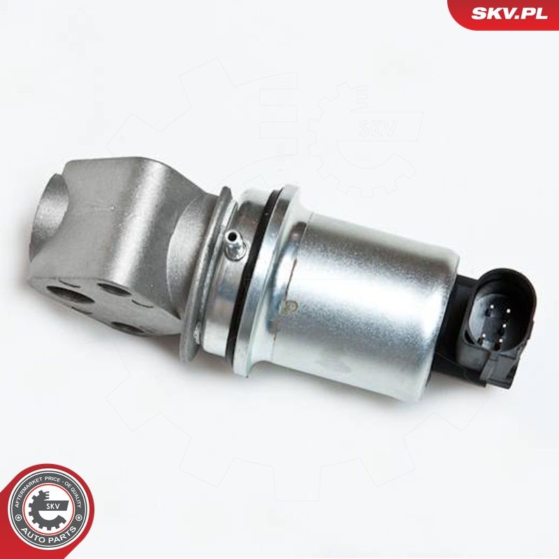 EGR-klapp, ESEN SKV 14SKV007
