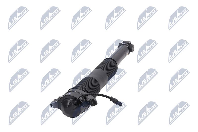 Amort, NTY A-LR-022