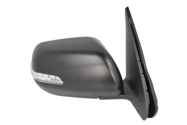 BLIC 5402-18-2002406P Exterior Mirror