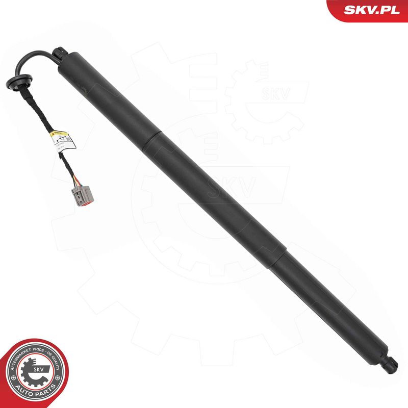 ESEN SKV 52SKV280 Electric Motor, tailgate