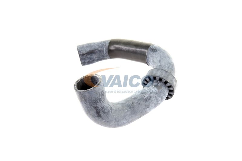 VAICO V30-2220 Radiator Hose