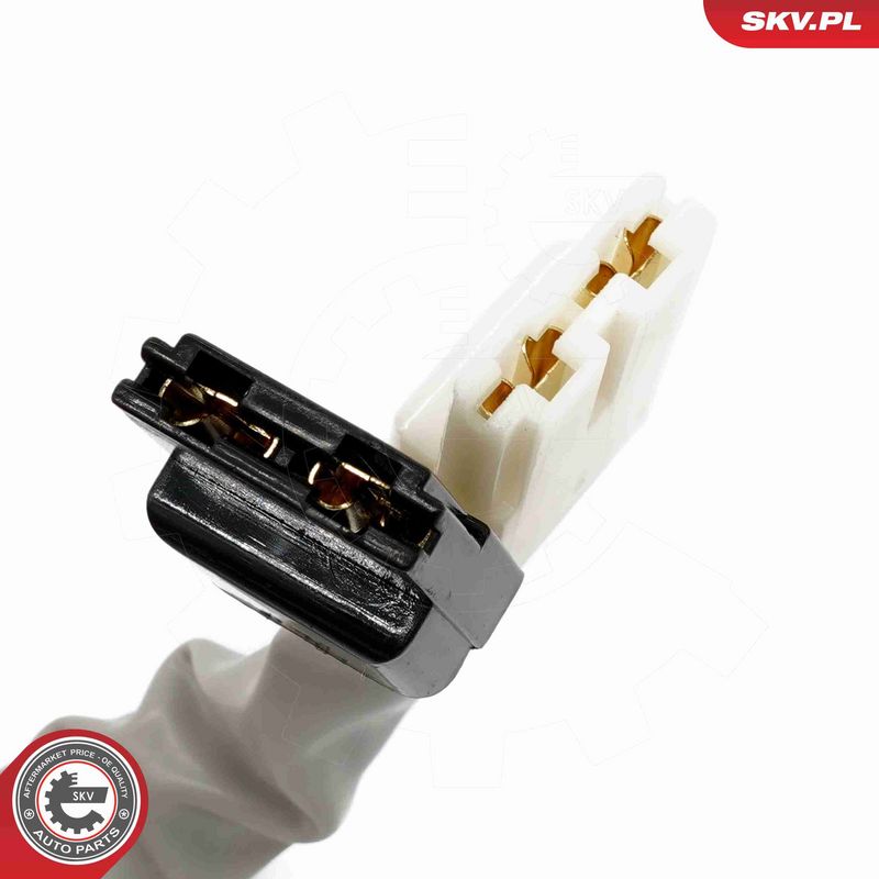 ESEN SKV 65SKV203 Steering Lock