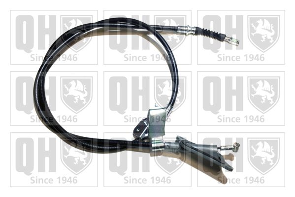 QH_BC3807.JPG