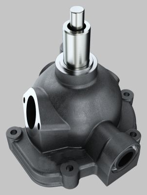 P9970.JPG