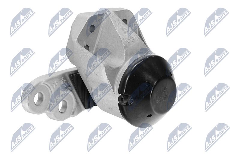 Paigutus, Mootor, NTY ZPS-FR-053