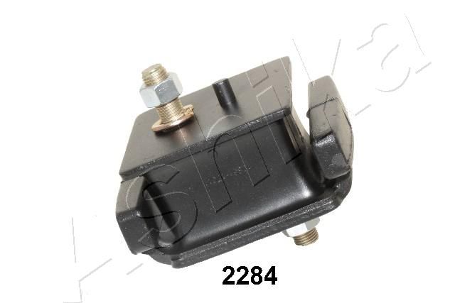 GOM-2284_1.JPG
