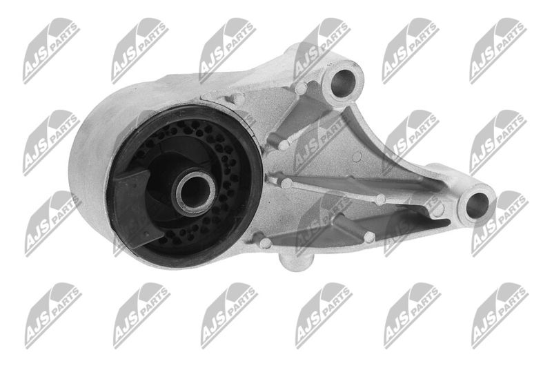 Paigutus, Mootor, NTY ZPS-PL-069