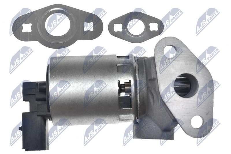 NTY EGR-CH-013 EGR Valve