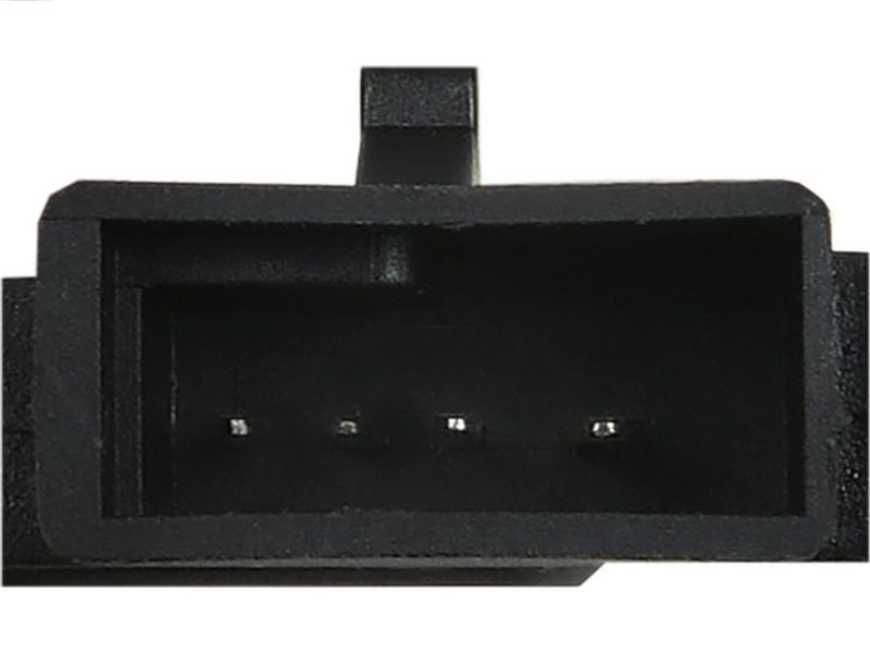 259042.JPG