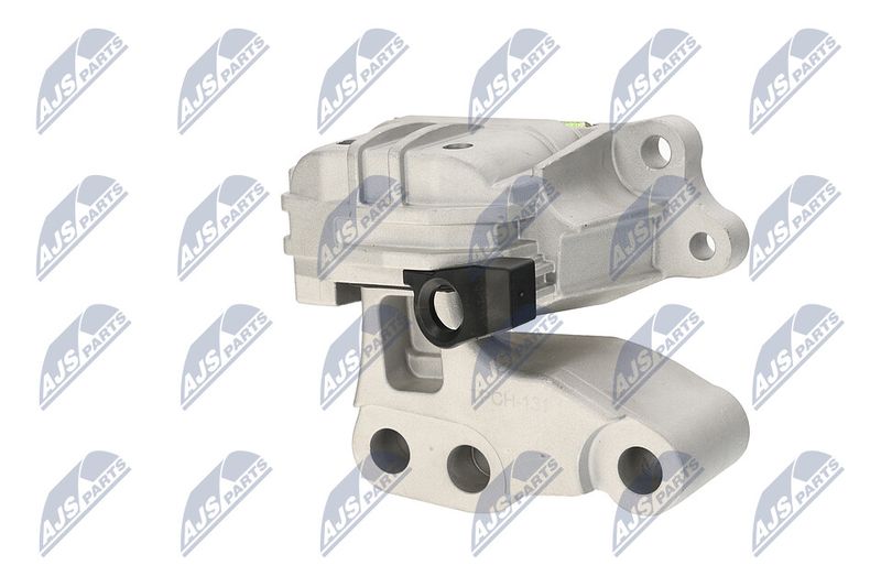 Paigutus, Mootor, NTY ZPS-CH-131