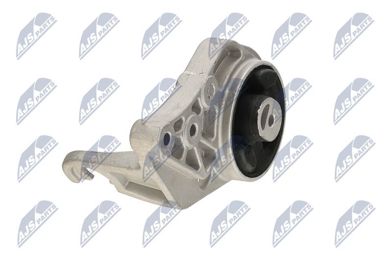 Paigutus, Mootor, NTY ZPS-CH-113